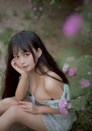 梦想成为魔法少女第一季在线观看_1080P在线观看高清