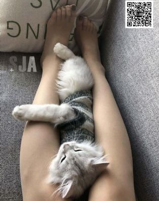 啦啦啦电视剧免费观看第8_BD韩语手机在线观看